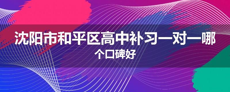 沈阳市和平区高中补习一对一哪个口碑好
