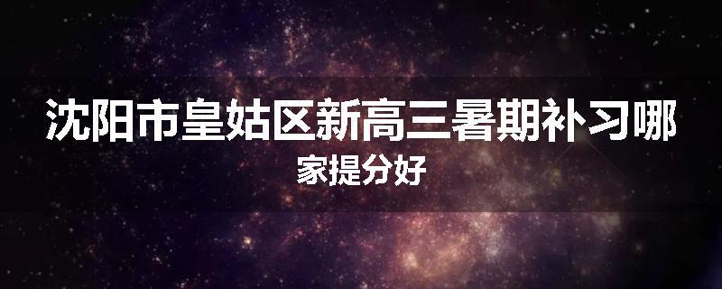 沈阳市皇姑区新高三暑期补习哪家提分好