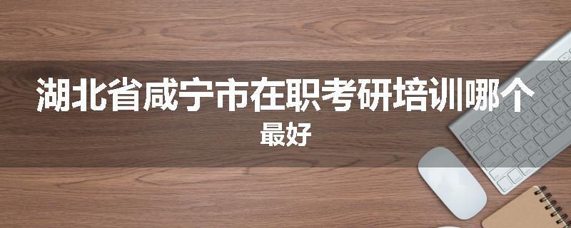 湖北省咸宁市在职考研培训哪个最好