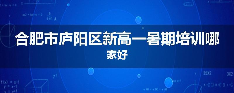 合肥市庐阳区新高一暑期培训哪家好