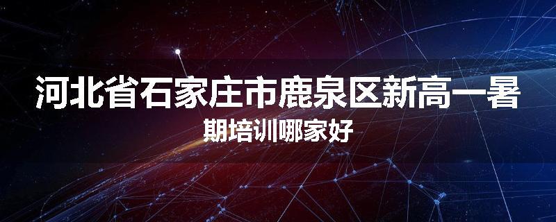 河北省石家庄市鹿泉区新高一暑期培训哪家好