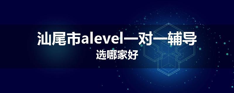 汕尾市alevel一对一辅导选哪家好