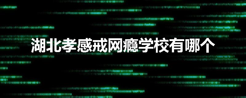 湖北孝感戒网瘾学校有哪个
