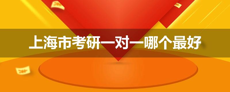 上海市考研一对一哪个最好