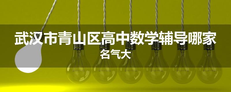 武汉市青山区高中数学辅导哪家名气大