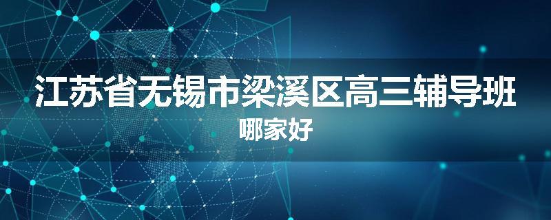 江苏省无锡市梁溪区高三辅导班哪家好