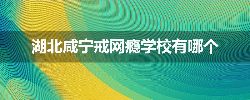 湖北咸宁戒网瘾学校有哪个