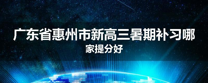 广东省惠州市新高三暑期补习哪家提分好