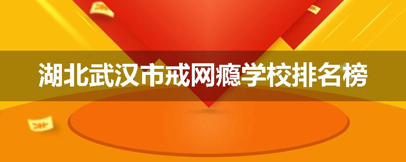湖北武汉市戒网瘾学校排名榜