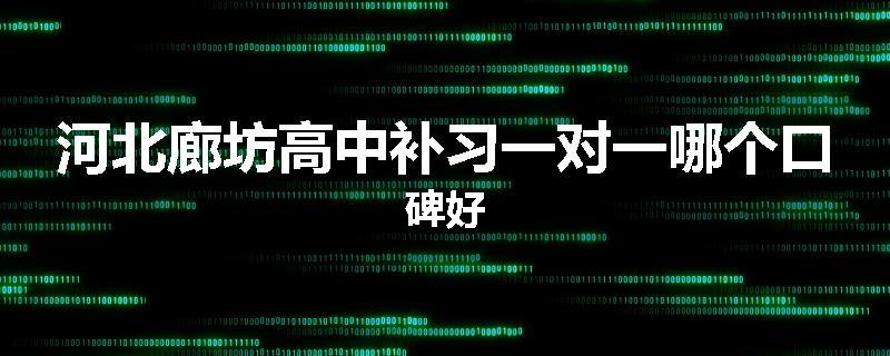河北廊坊高中补习一对一哪个口碑好
