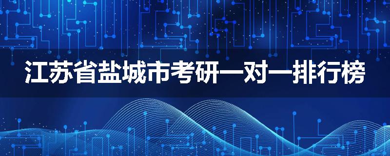 江苏省盐城市考研一对一排行榜