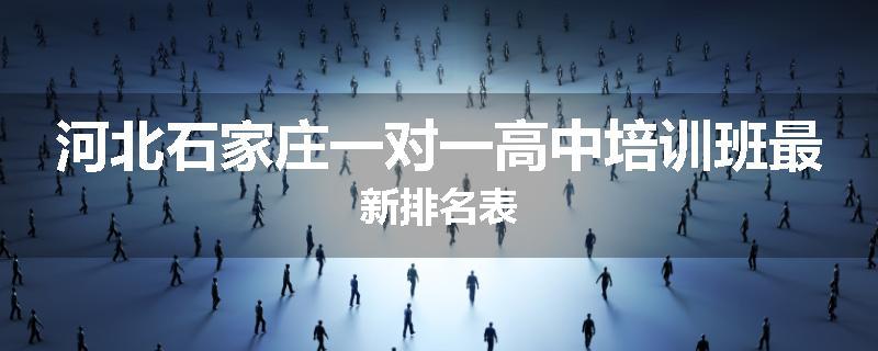 河北石家庄一对一高中培训班最新排名表