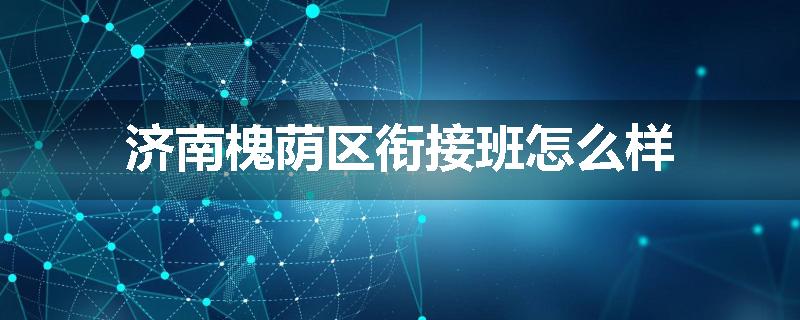 济南槐荫区衔接班怎么样