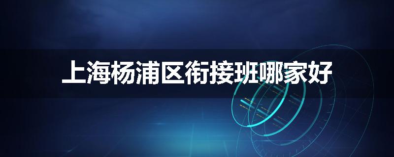 上海杨浦区衔接班哪家好