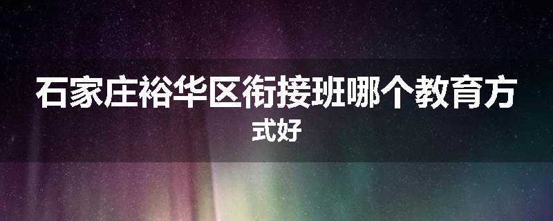石家庄裕华区衔接班哪个教育方式好