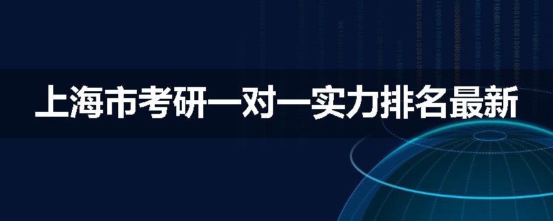 上海市考研一对一实力排名最新