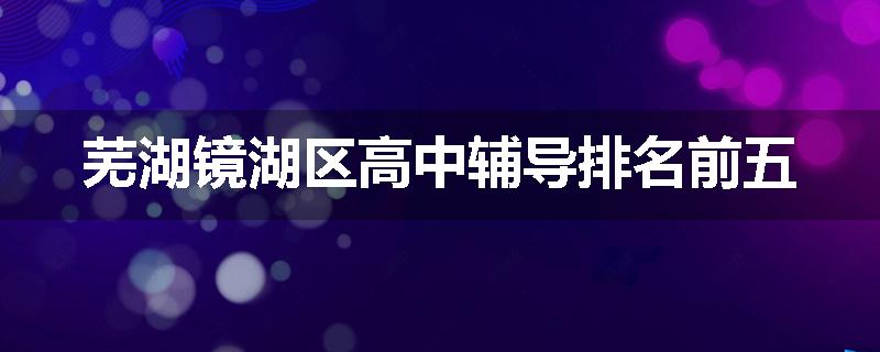 芜湖镜湖区高中辅导排名前五