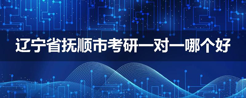 辽宁省抚顺市考研一对一哪个好