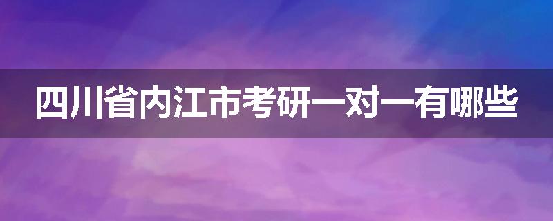 四川省内江市考研一对一有哪些