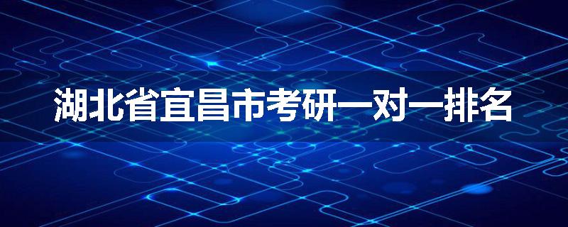 湖北省宜昌市考研一对一排名