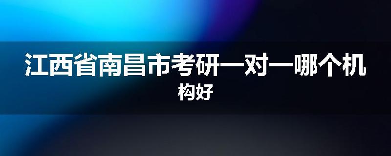 江西省南昌市考研一对一哪个机构好