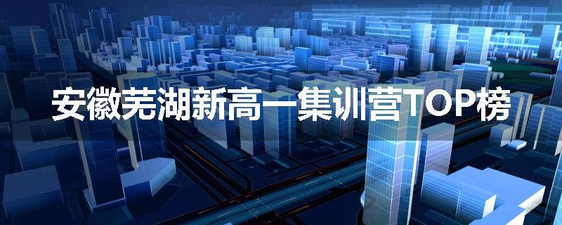 安徽芜湖新高一集训营TOP榜