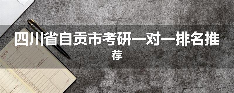 四川省自贡市考研一对一排名推荐