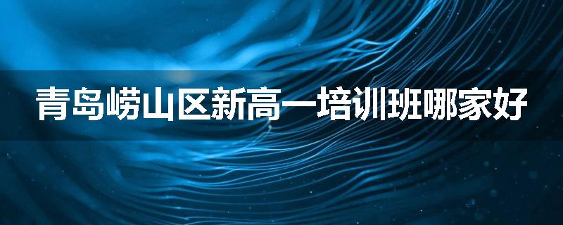 青岛崂山区新高一培训班哪家好
