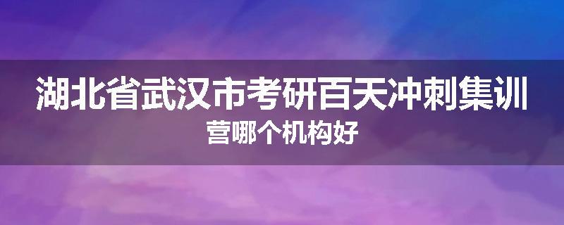 湖北省武汉市考研百天冲刺集训营哪个机构好