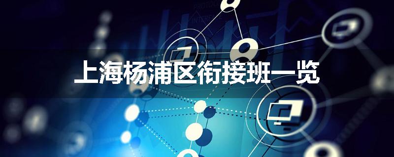 上海杨浦区衔接班一览