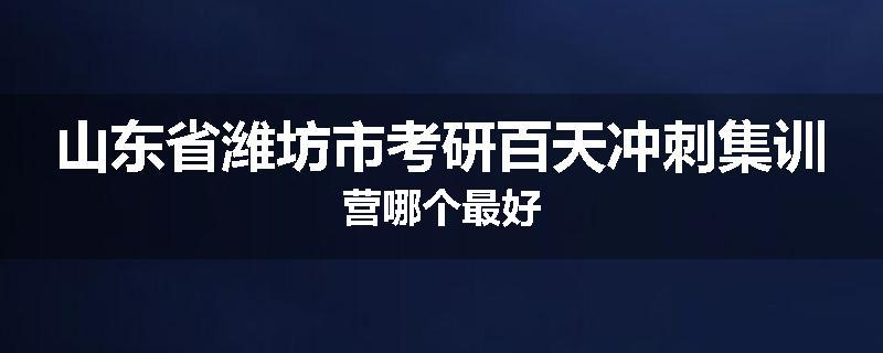 山东省潍坊市考研百天冲刺集训营哪个最好