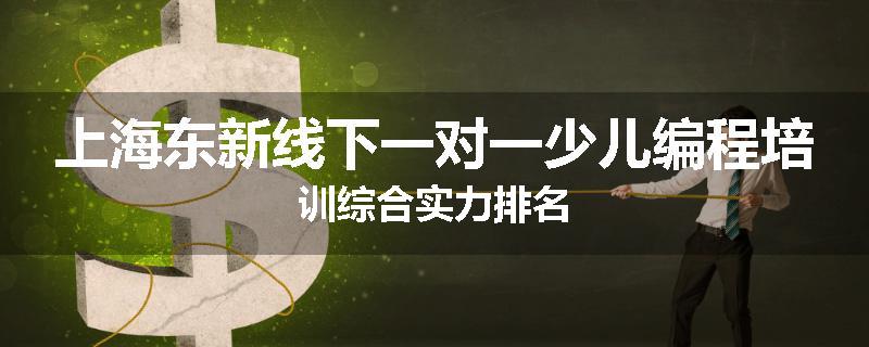 上海东新线下一对一少儿编程培训综合实力排名
