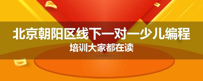 北京朝阳区线下一对一少儿编程培训大家都在读