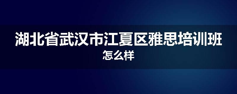 湖北省武汉市江夏区雅思培训班怎么样