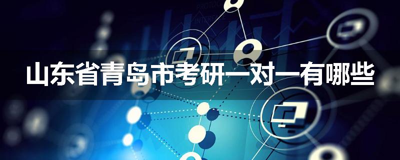 山东省青岛市考研一对一有哪些