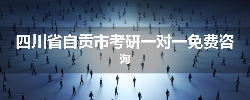 四川省自贡市考研一对一免费咨询