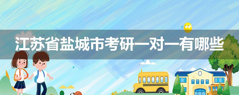 江苏省盐城市考研一对一有哪些
