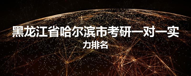 黑龙江省哈尔滨市考研一对一实力排名