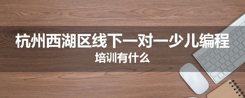 杭州西湖区线下一对一少儿编程培训有什么