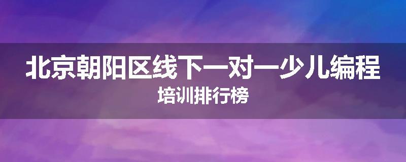 北京朝阳区线下一对一少儿编程培训排行榜