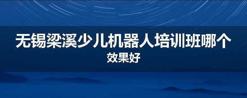 无锡梁溪少儿机器人培训班哪个效果好