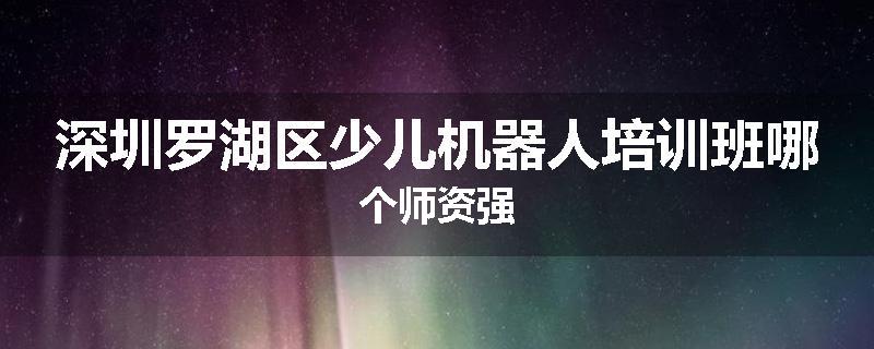 深圳罗湖区少儿机器人培训班哪个师资强