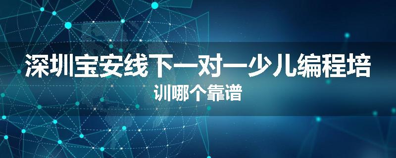 深圳宝安线下一对一少儿编程培训哪个靠谱