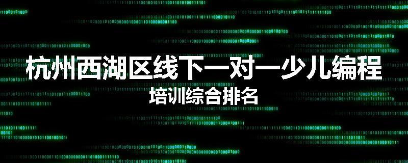 杭州西湖区线下一对一少儿编程培训综合排名