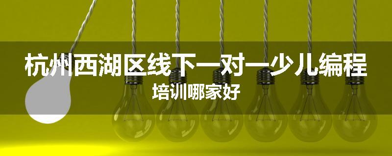 杭州西湖区线下一对一少儿编程培训哪家好