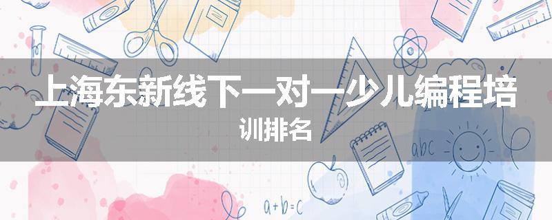 上海东新线下一对一少儿编程培训排名