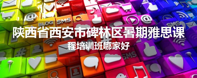 陕西省西安市碑林区暑期雅思课程培训班哪家好