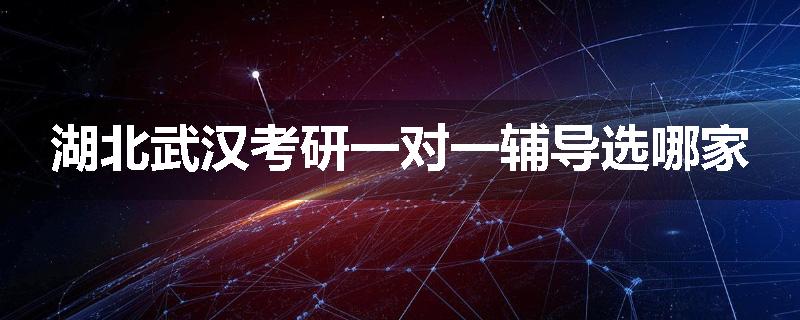 湖北武汉考研一对一辅导选哪家