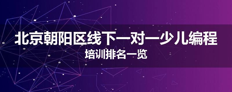 北京朝阳区线下一对一少儿编程培训排名一览