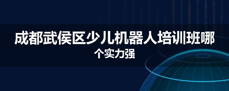 成都武侯区少儿机器人培训班哪个实力强